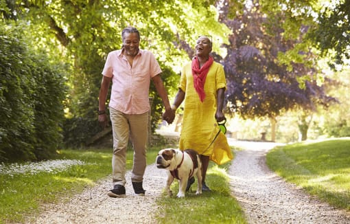 Senior couple walking their dog outside at DOVER WOODS SENIOR APARTMENTS, Fairfield, 94533