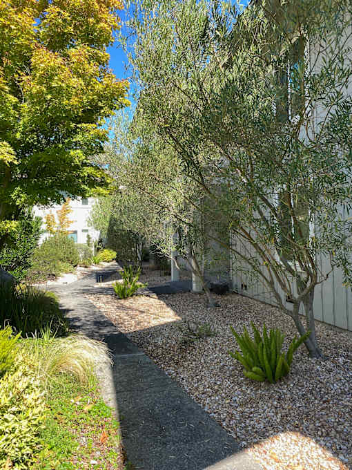 Courtyard View at Via Casitas, Greenbrae