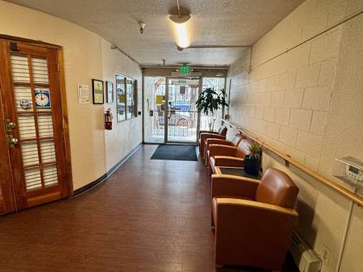 A hallway with brown chairs and a green plant.