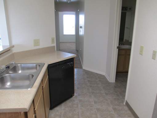 A kitchen with a sink and dishwasher.