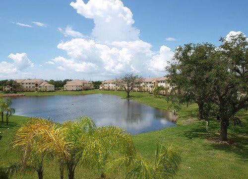 Lake view at Bristol Bay, Tampa, FL