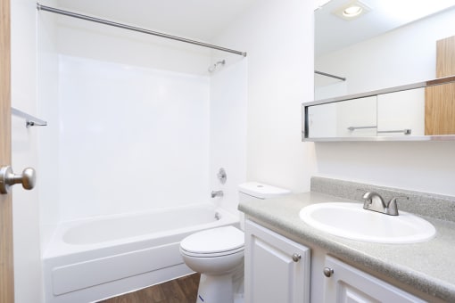 Apartments in Des Moines for Rent - Marina Club - Bathroom with Granite-Style Countertop, Plank-Wood Floors, and Shower with Bathtub Combo