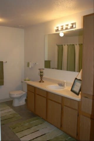 A bathroom with a toilet, sink, and mirror.