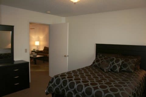 A bedroom with a bed, dresser, and mirror.