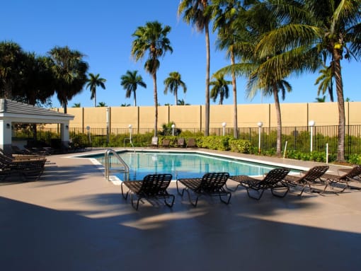 Oaks at Pompano resort style swimming pool lined with palm trees and lounge chairs