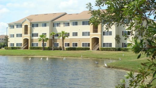 Lake view apartment at Mission Bay Apartments, Florida