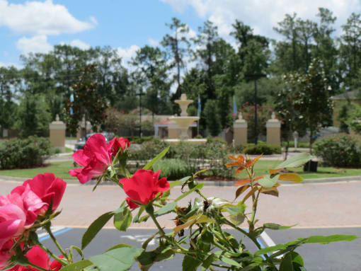 Mission Pointe apartments community exterior and fountain at Mission Pointe Apartments, Jacksonville, FL, 32218