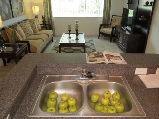Mission  Pointe apartment home  kitchen overlooking living area at Mission Pointe Apartments, Jacksonville, Florida