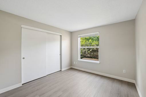 A room with a white door and a window showing greenery outside.
