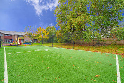 A green turf soccer field with white lines and fallen leaves.