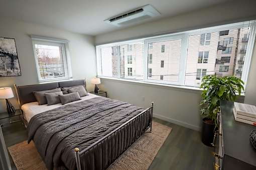 A bedroom with a large bed and a potted plant.