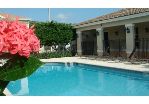 Pool with lounge chairs  at Bonita Pointe, Florida, 33034