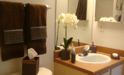Bath sink vanity at Carolina Club Apartments, Daytona Beach, FL, 32114