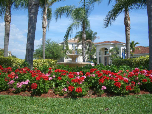 View at Hawk's Landing Apartments, Fort Myers, Florida