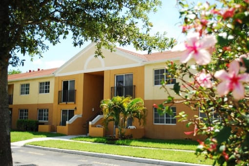 Marbrisa Apartments community exterior and walkways with palm trees at Marbrisa Apartments, Florida