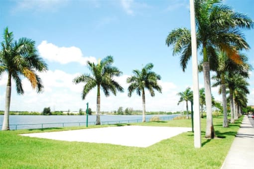 Marbrisa Apartments volley ball area with palm trees at Marbrisa Apartments, Miami Gardens