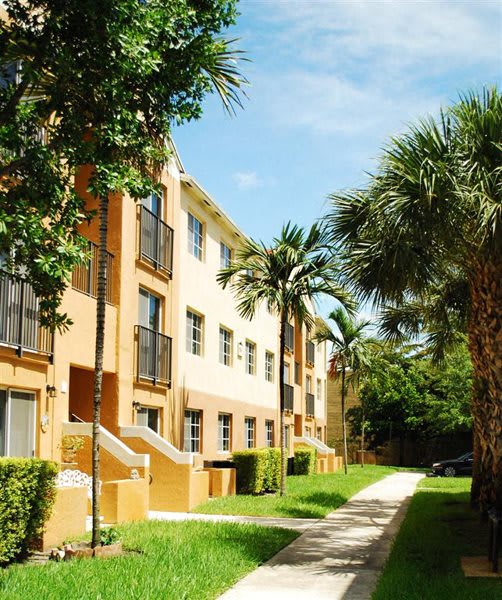 Marbrisa Apartments community exterior and walkways with palm trees at Marbrisa Apartments, Miami Gardens, FL