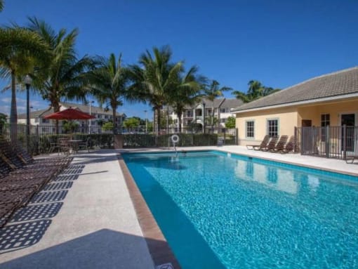 resort style pool and lounge chairs at Valencia Pointe, Florida