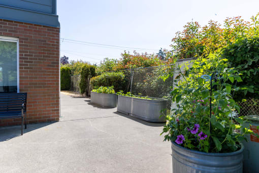 a patio with plants and a bench and a brick building