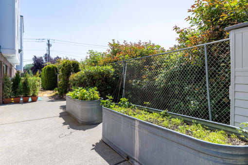 a courtyard with a fence and planters with plants