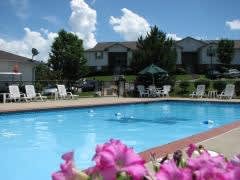 A pool surrounded by chairs and flowers with houses in the background.