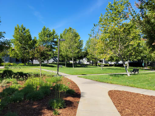 Sidewalks throughout community at DOVER WOODS SENIOR APARTMENTS, California, 94533