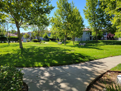 Lush greenery surrounding community at DOVER WOODS SENIOR APARTMENTS, Fairfield, CA 94533
