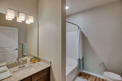 New Apartments in Airway Heights - Salish Flats - Bathroom with Seperate Shower Area, Vanity Mirror, and Wood-Style Floors at Salish Flats APARTMENTS, Washington