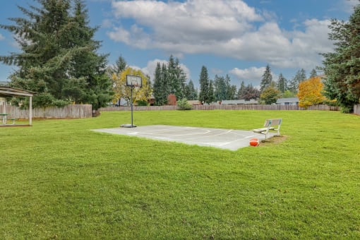 Sherwood Apartments - Basket Ball Court Surrounded By Grass.