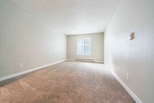 Room with carpet  and window 