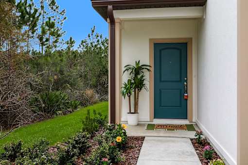 A house with a blue door and a green plant in front.