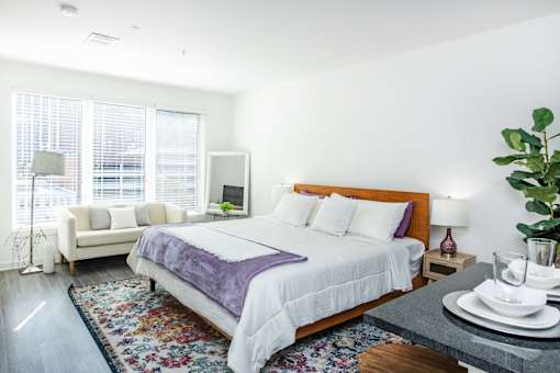 A bedroom with a bed, a couch, a chair, a table with a plant, and a window with blinds.