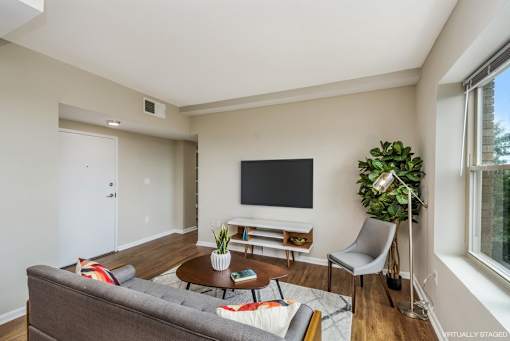 A living room with a grey couch, a coffee table, a flat screen TV, and a potted plant.