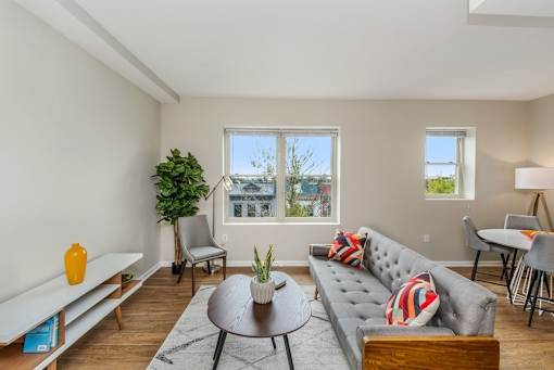 A living room with a grey sofa, a coffee table, and a potted plant.