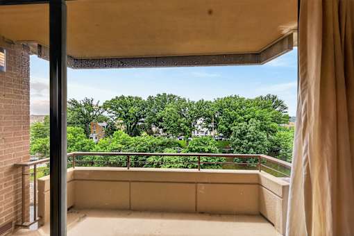 A balcony with a view of a green tree-filled area.