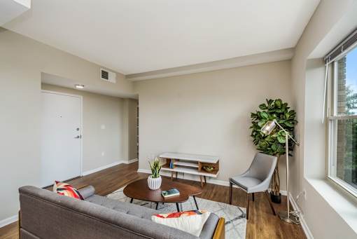 A living room with a grey couch, a wooden coffee table, a white chair, and a green plant.