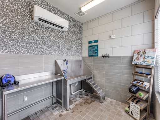 Pet spa at pet-friendly apartments in North Georgetown TX near I-35