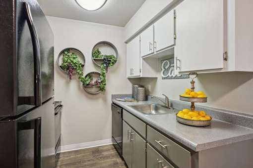 Dog-Friendly Apartments in Mesa, AZ - Mesa Station Apartments - Kitchen With White Cabinets, Gray Countertops, Stainless Steel Appliances, Single Basin Sink, And Decorative Wall Greenery.