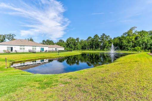 Myrtle Beach, SC Homes for Rent - The Palmer at Carolina Forest - Pond with Fountain, Surrounded by Maintained Grass Lawn, Trees, and Homes