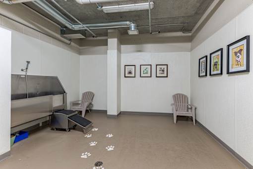 A room with a dog paw print on the floor and pictures on the wall.