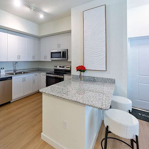 Contemporary kitchen with upscale stainless-steel appliances and granite finishes at Gateway Luxury Apartments.