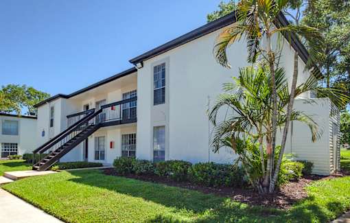 A white building with a black staircase and a palm tree in front.