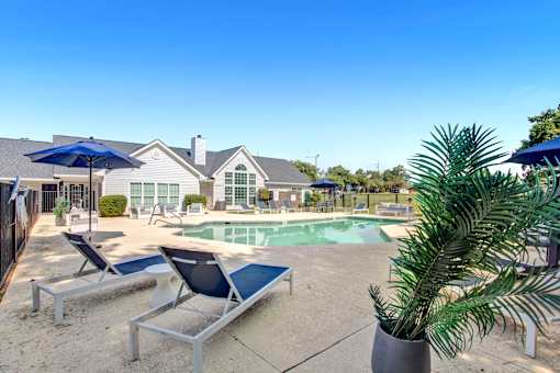 A pool area with lounge chairs and a palm tree.