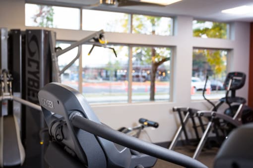 Fitness center- cardio machines