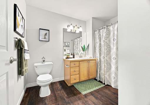 A white toilet sits in a bathroom with a wooden floor and a green rug.