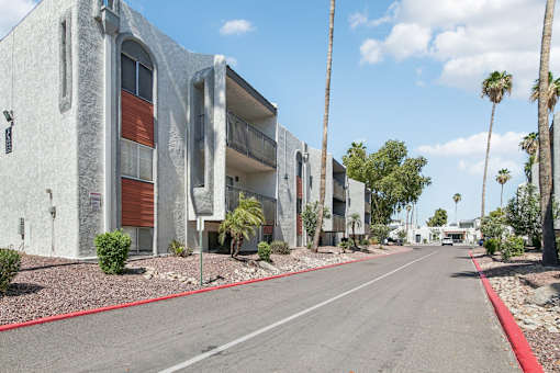 A street view of a row of modern buildings with palm trees on the side.