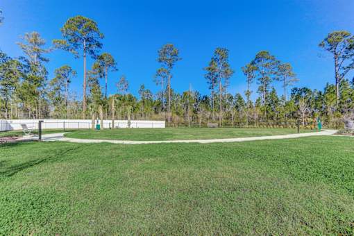 a large grassy area with trees in the background