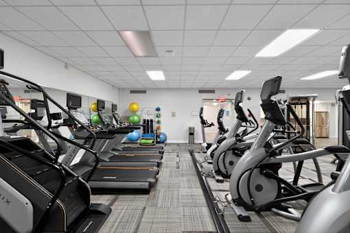 A gym with treadmills and exercise balls.