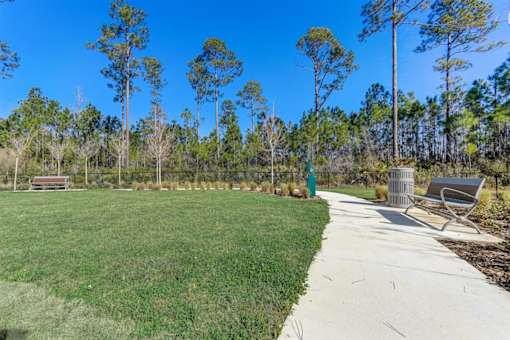 a park with a grassy area and trees in the background