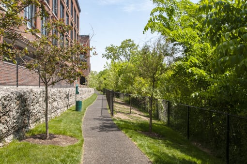 a path with trees and a building on the side